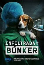 Watch Infiltrada en el b�nker Gomovies