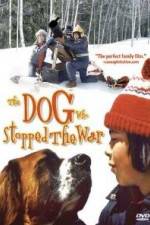 Watch La guerre des tuques Gomovies