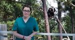 Watch Sue Perkins and the Chimp Sanctuary Gomovies