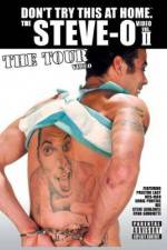 Watch Don't Try This at Home: The Tour Gomovies