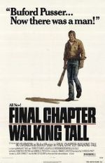 Watch Final Chapter: Walking Tall Gomovies
