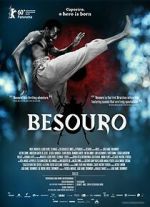 Watch The Assailant Gomovies