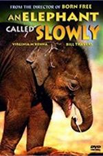 Watch An Elephant Called Slowly Gomovies