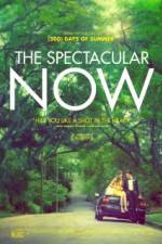 Watch The Spectacular Now Gomovies