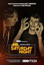 Watch Mr. Saturday Night Gomovies