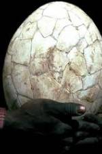 Watch Attenborough And The Giant Egg Gomovies