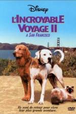 Watch Homeward Bound II Lost in San Francisco Gomovies