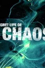 Watch The Secret Life of Chaos Gomovies