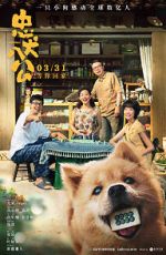 Watch Hachiko Gomovies