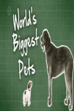Watch World's Biggest Pets Gomovies