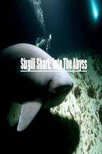 Watch National Geographic Wild Sixgill Shark Into The Abyss Gomovies