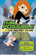 Watch "Kim Possible" Attack of the Killer Bebes Gomovies