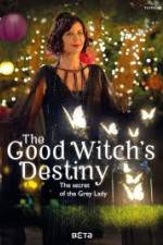 Watch The Good Witchs Destiny Gomovies