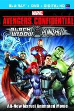 Watch Avengers Confidential: Black Widow & Punisher Gomovies