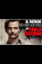 Watch The Rise and Fall of Pablo Escobar Gomovies