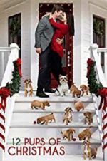 Watch 12 Pups of Christmas Gomovies