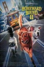 Watch Homeward Bound II: Lost in San Francisco Gomovies