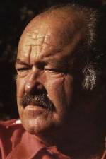 Watch The Return of Frank Cannon Gomovies