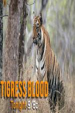 Watch Discovery Channel-Tigress Blood Gomovies