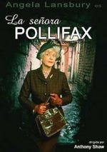 Watch The Unexpected Mrs. Pollifax Gomovies