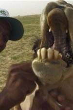 Watch With the Nomads Gomovies