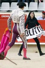 Watch Bull Runners of Pamplona Gomovies