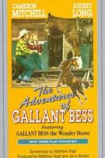 Watch Adventures of Gallant Bess Gomovies