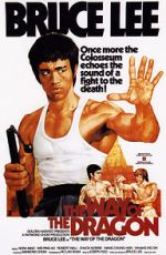 Watch The Way of the Dragon Gomovies