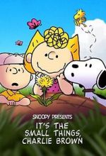Watch Snoopy Presents: It's the Small Things, Charlie Brown (TV Special 2022) Gomovies