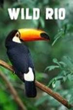Watch Wild Rio Gomovies