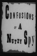 Watch Confusions of a Nutzy Spy Gomovies