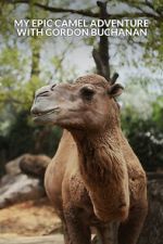 Watch My Epic Camel Adventure with Gordon Buchanan Gomovies