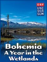 Watch Bohemia: A Year in the Wetlands Gomovies