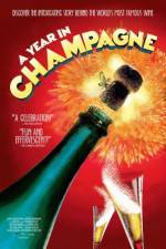 Watch A Year in Champagne Gomovies