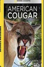 Watch National Geographic - American Cougar Gomovies