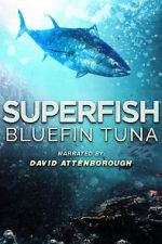 Watch Superfish Bluefin Tuna Gomovies