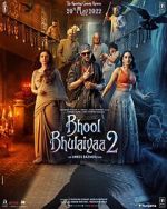 Watch Bhool Bhulaiyaa 2 Gomovies