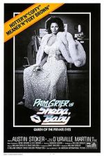 Watch 'Sheba, Baby' Gomovies