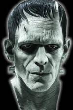 Watch Frankenstein Birth of a Monster Gomovies