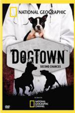 Watch National Geographic DogTown Gomovies