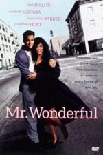 Watch Mr Wonderful Gomovies