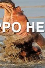 Watch Hippo Hell Gomovies