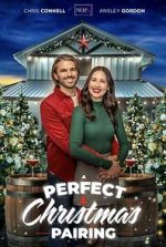 Watch A Perfect Christmas Pairing Gomovies