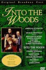 Watch Into the Woods Gomovies