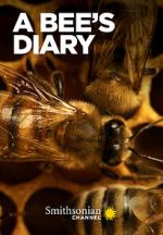 Watch A Bee\'s Diary (TV Special 2022) Gomovies