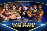 Watch WWE Hall of Fame Gomovies
