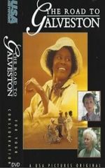 Watch The Road to Galveston Gomovies