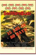 Watch SeeMoreBuds: Vol. 1 Gomovies