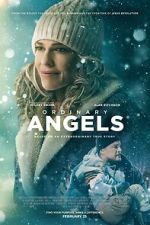 Watch Ordinary Angels Gomovies