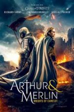 Watch Arthur & Merlin: Knights of Camelot Gomovies